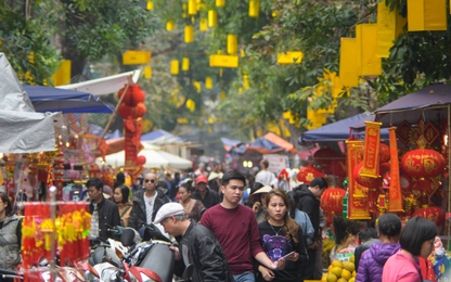 Chợ hoa Hà Nội chỉ họp một lần trong năm vào dịp Tết