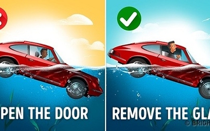 Bốn kỹ năng cứu sống bạn khi gặp động đất, sự cố máy bay