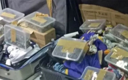 Khách đi máy bay giấu 1.500 con rùa trong vali