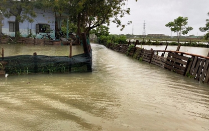 Mưa lớn kéo dài người dân Quảng Nam –Đà Nẵng khốn khổ vì ngập lụt