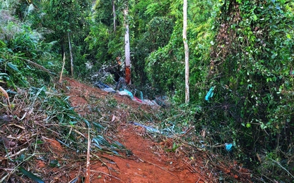 Thông tin mới nhất về vụ TNGT đặc biệt nghiêm trọng tại Gia Lai