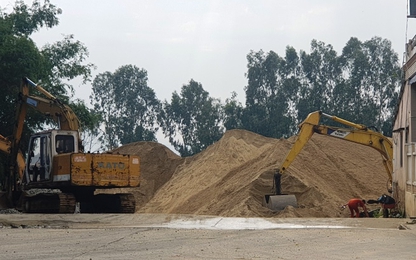 Khai thác cát trái phép ở Quảng Nam: Chính quyền làm ngơ?