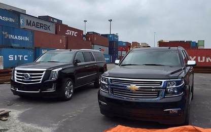 Việt Nam nhập khẩu hơn 2.500 ô tô trong nửa đầu tháng 1/2021