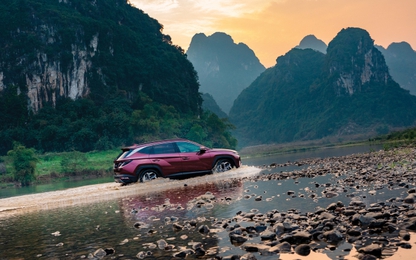 Hyundai Tucson liên tiếp đoạt nhiều giải thưởng toàn cầu