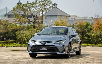 Doanh số bán xe Toyota đi ngược thị trường ô tô trong nước