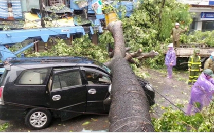 Tổng cục ĐBVN chỉ đạo khắc phục hậu quả cơn bão số 1