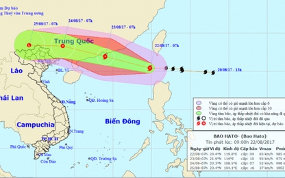 Chủ động ứng phó bão số 6 gây mưa lớn tại các tỉnh phía Bắc