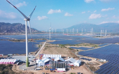 Khánh thành nhà máy điện gió lớn nhất Việt Nam