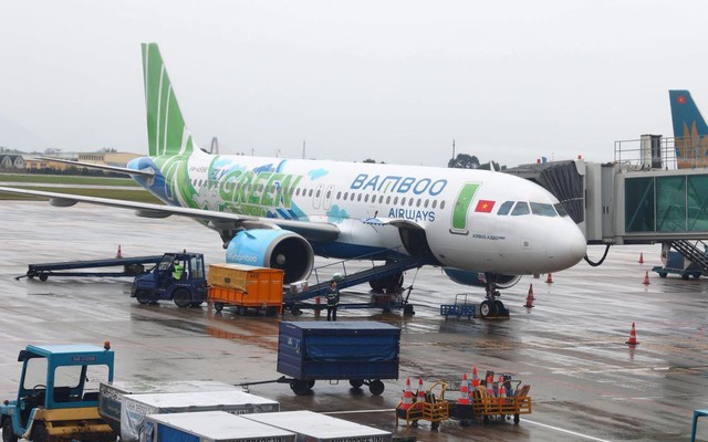 Bamboo Airways có tân Chủ tịch