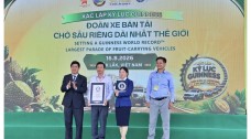 Hơn 500 xe bán tải chở sầu riêng lập kỷ lục Guinness tại Đắk Lắk