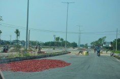 Quảng Ngãi kiểm tra, xử lý vi phạm hành lang an toàn trên 4 tuyến đường tỉnh