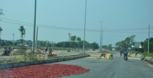Quảng Ngãi kiểm tra, xử lý vi phạm hành lang an toàn trên 4 tuyến đường tỉnh