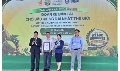 Hơn 500 xe bán tải chở sầu riêng lập kỷ lục Guinness tại Đắk Lắk