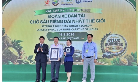Hơn 500 xe bán tải chở sầu riêng lập kỷ lục Guinness tại Đắk Lắk
