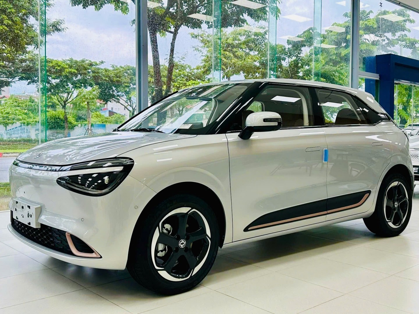 Dongfeng đem đến cho khách nhiều sự lựa chọn về xe điện
